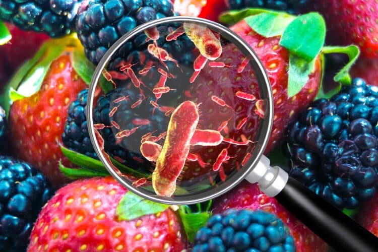 What food kills mouth bacteria?