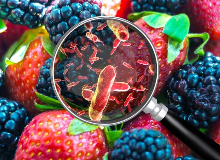 What food kills mouth bacteria?